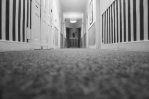 Low-angle photo of a Hallway Inside a Closed Room with carpet