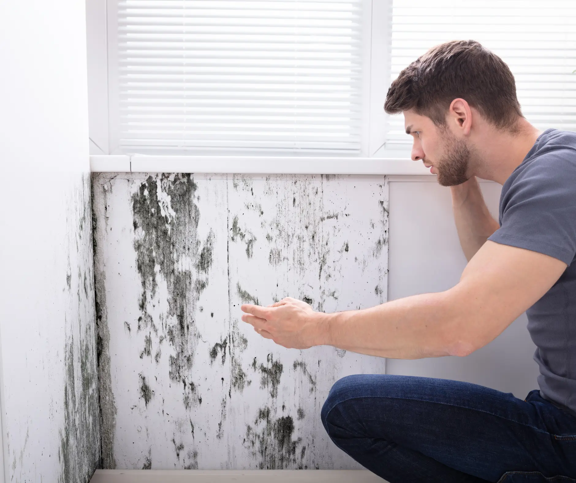 does insurance cover black mold on furniture?