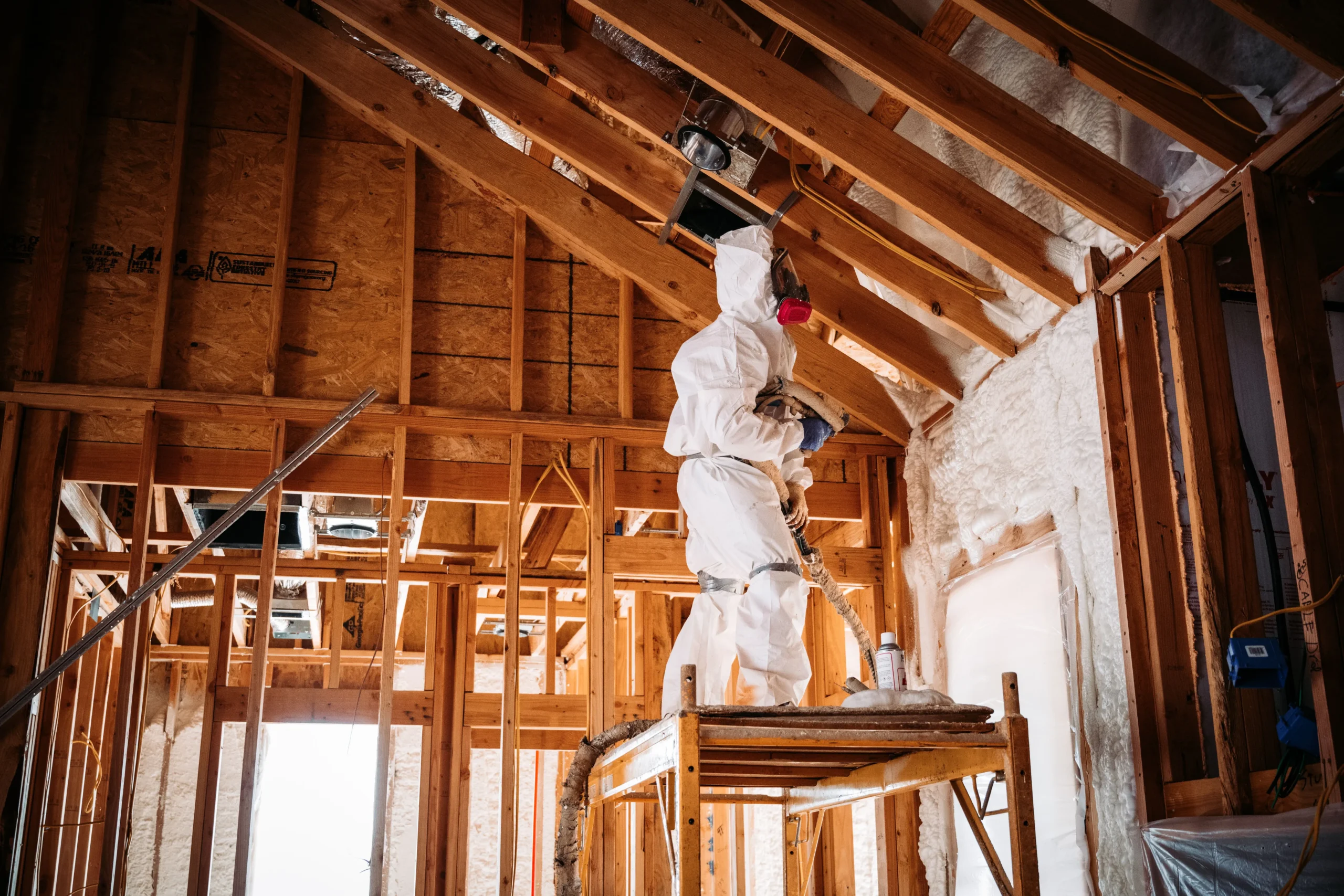 House Mold Inspection on roof