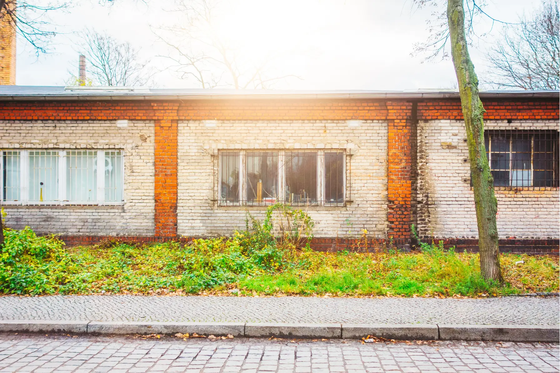 Mold Removal in San Diego