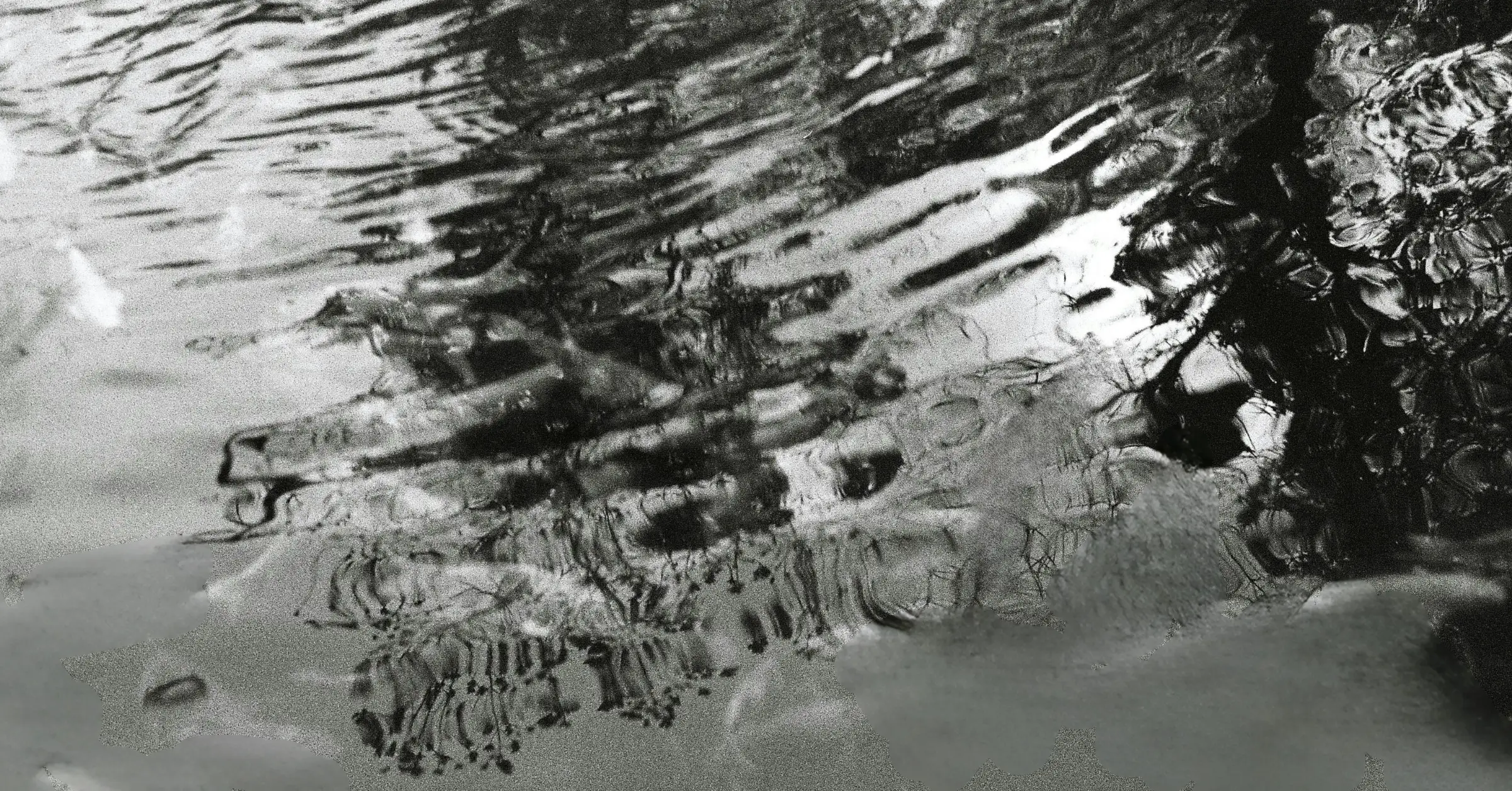 prevent sewage backup in your house