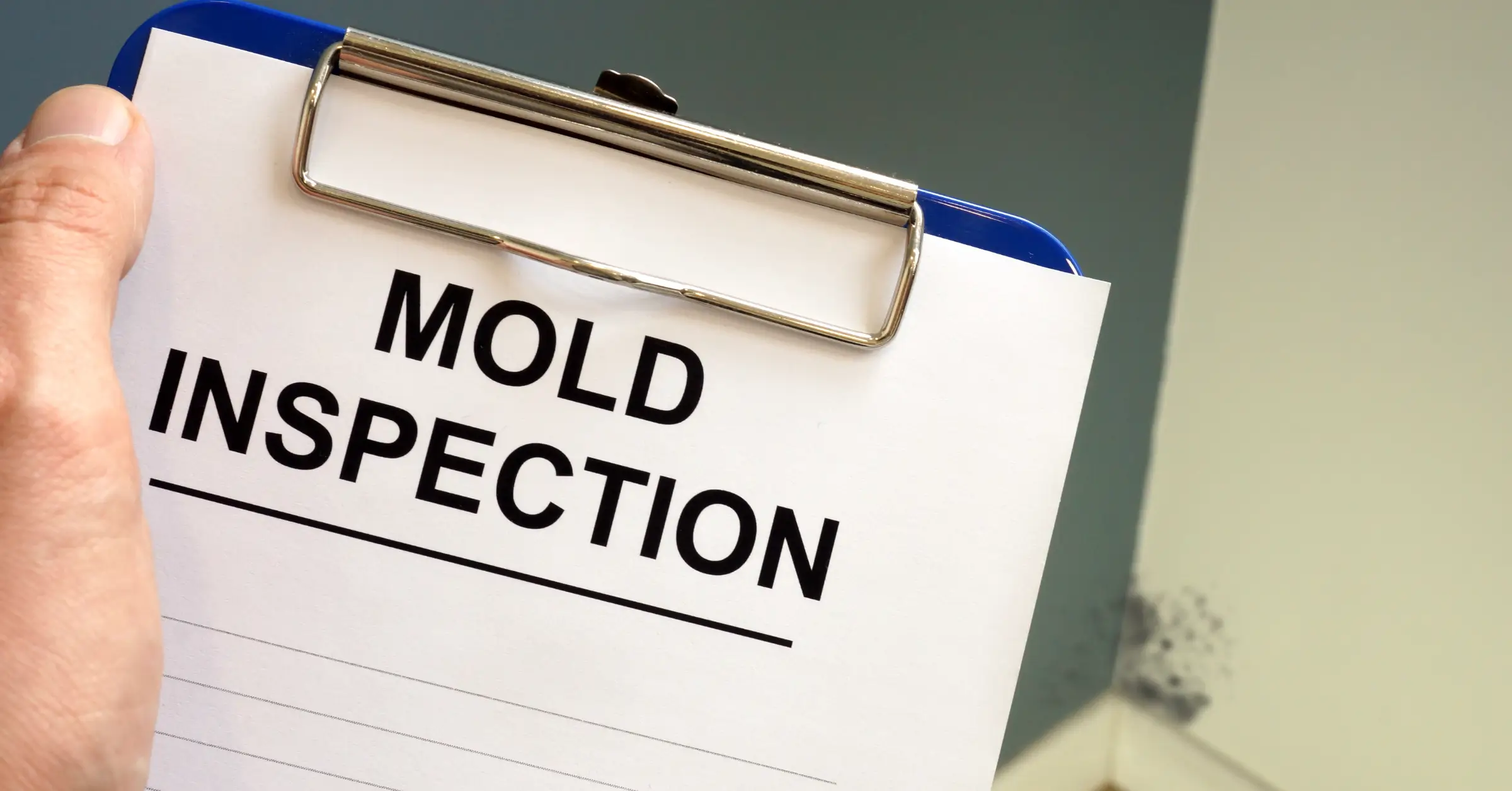what happens if mold is found during a home inspection