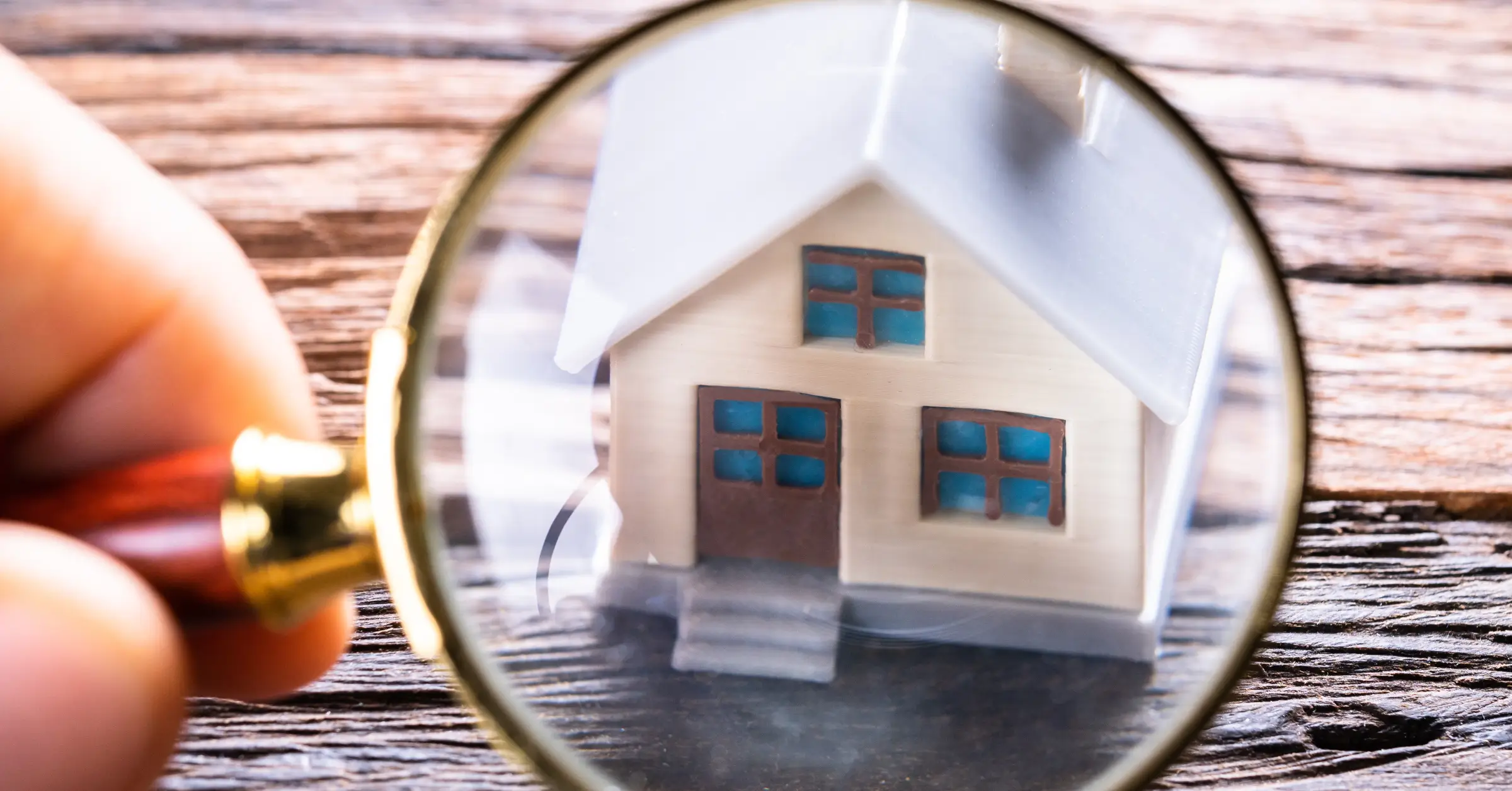 how long does a mold inspection take