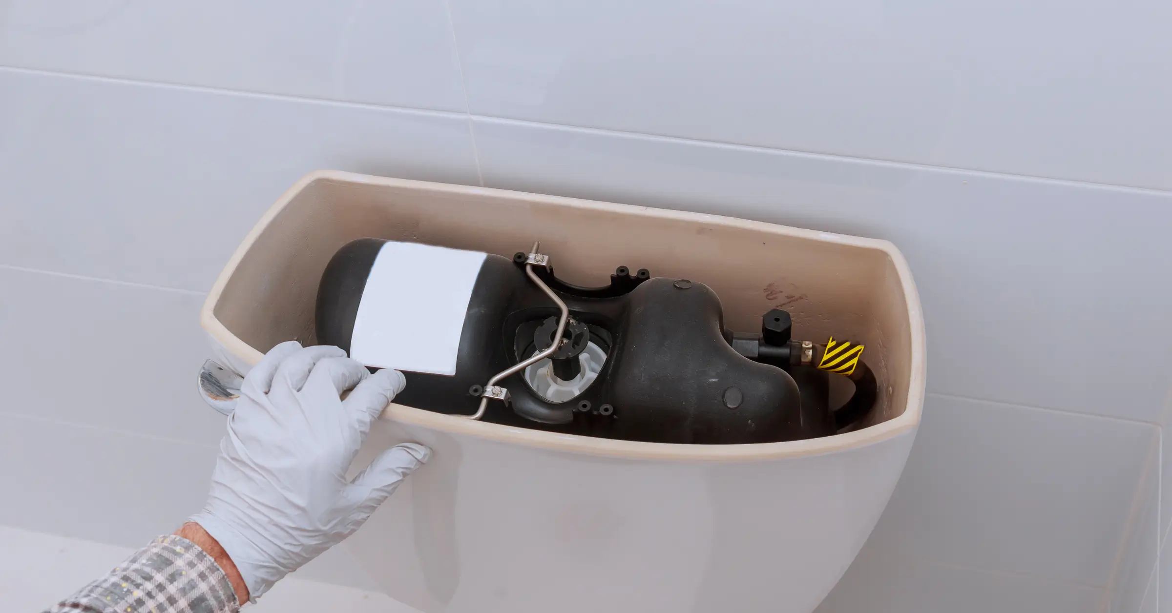 is black mold in the toilet tank dangerous