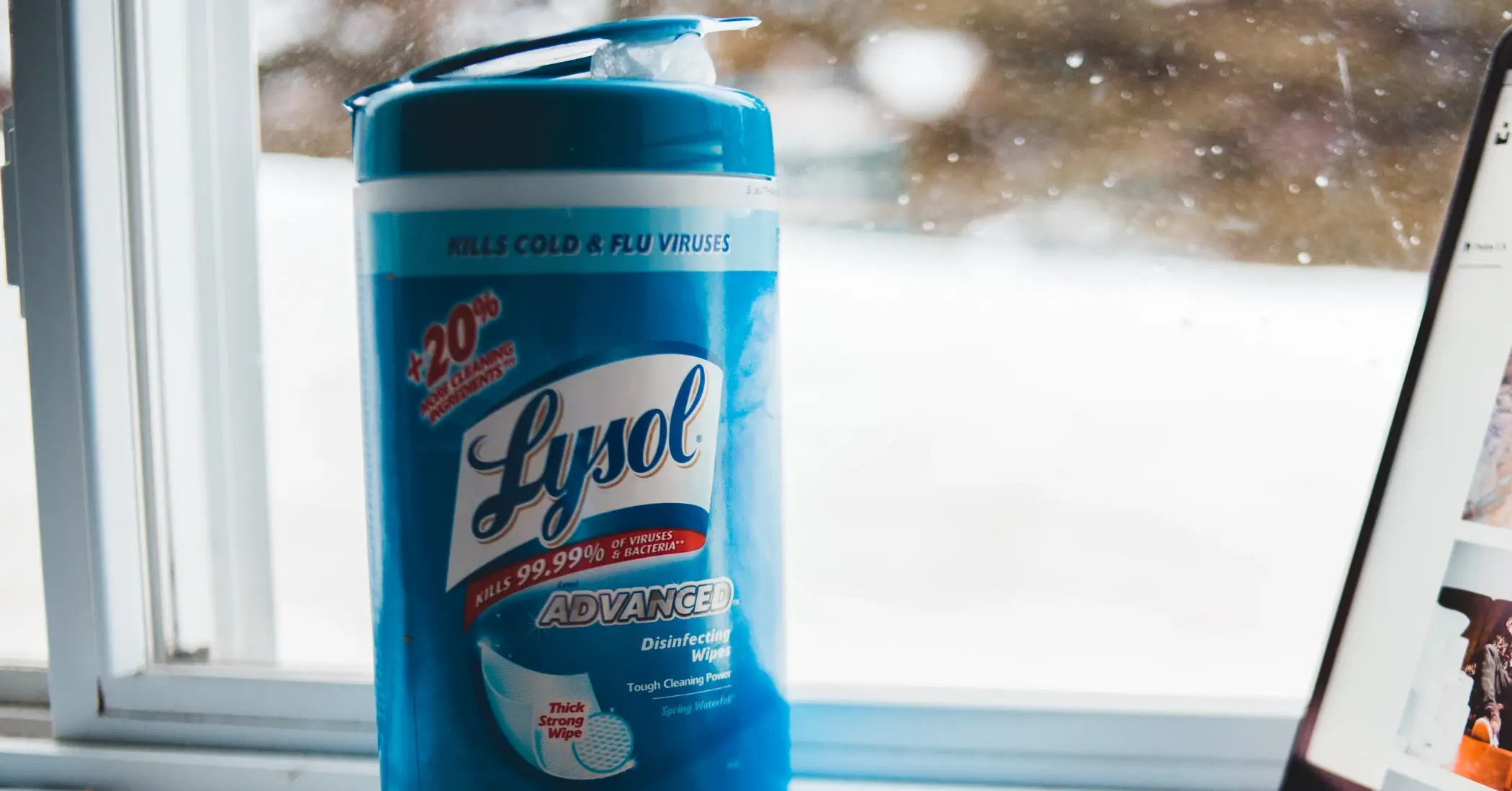 does lysol kill black mold
