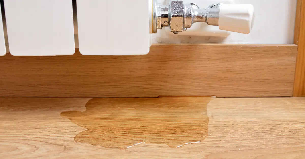 how can i find a water leak in my house