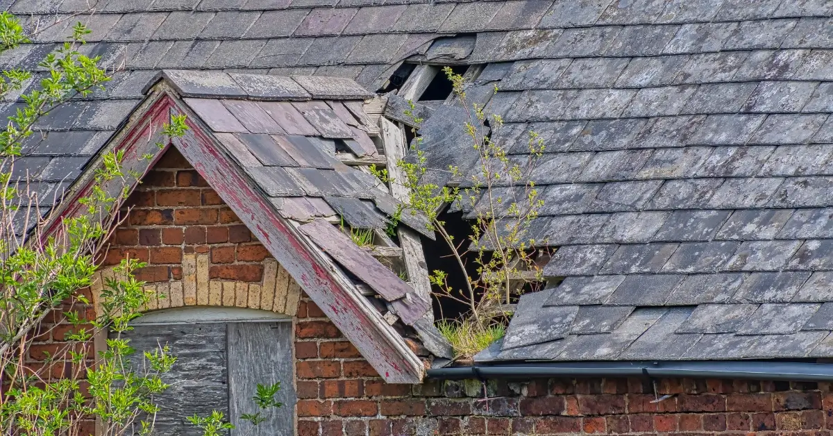 can roofing leaks damage siding