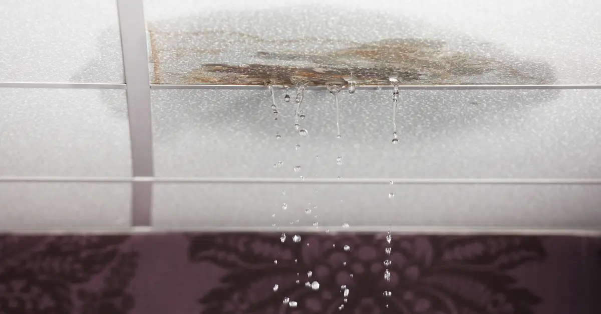 will a leak in the roof cause mold