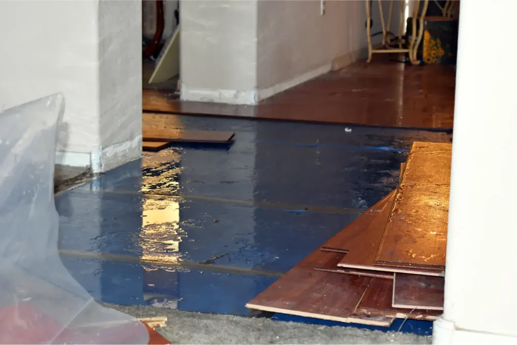 24/7 emergency water damage services in san diego