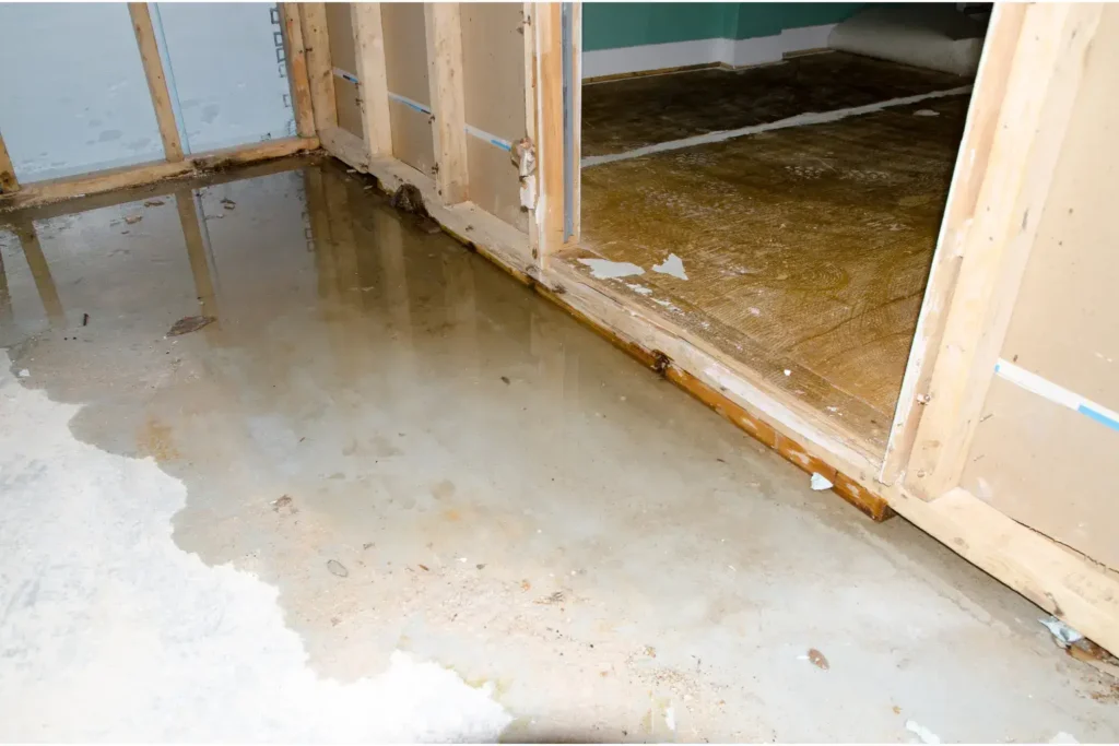 24/7 emergency water damage services in san diego