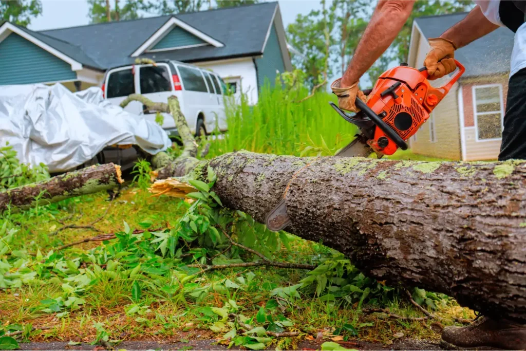 storm damage cleanup in san diego