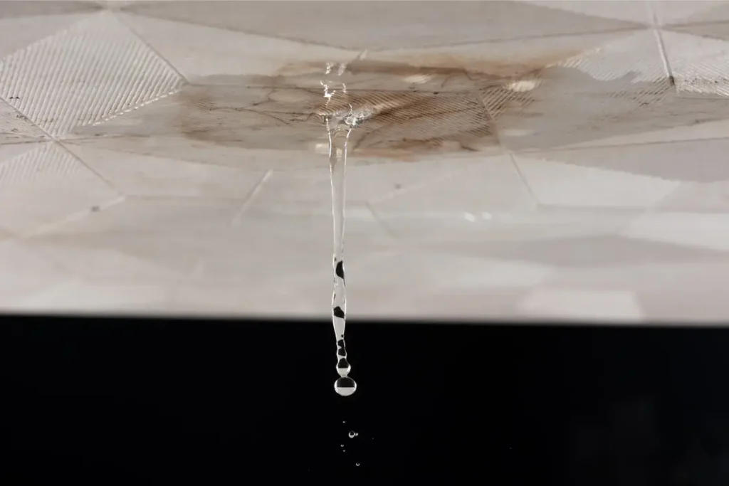 water leak repair in san diego