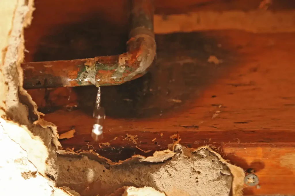 water leak repair in san diego