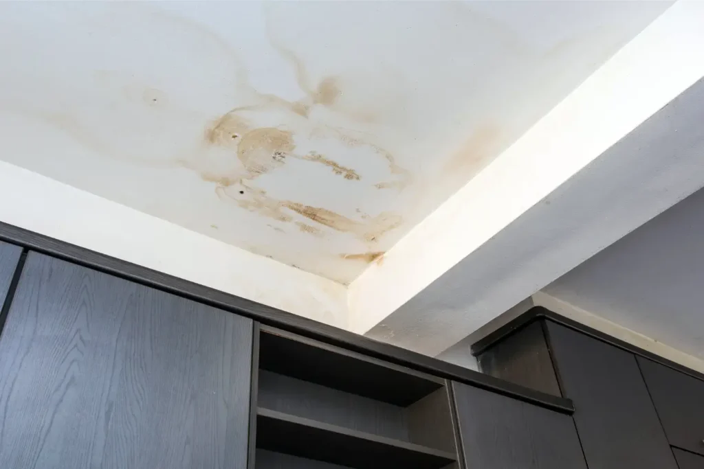 ceiling water damage repair in san diego