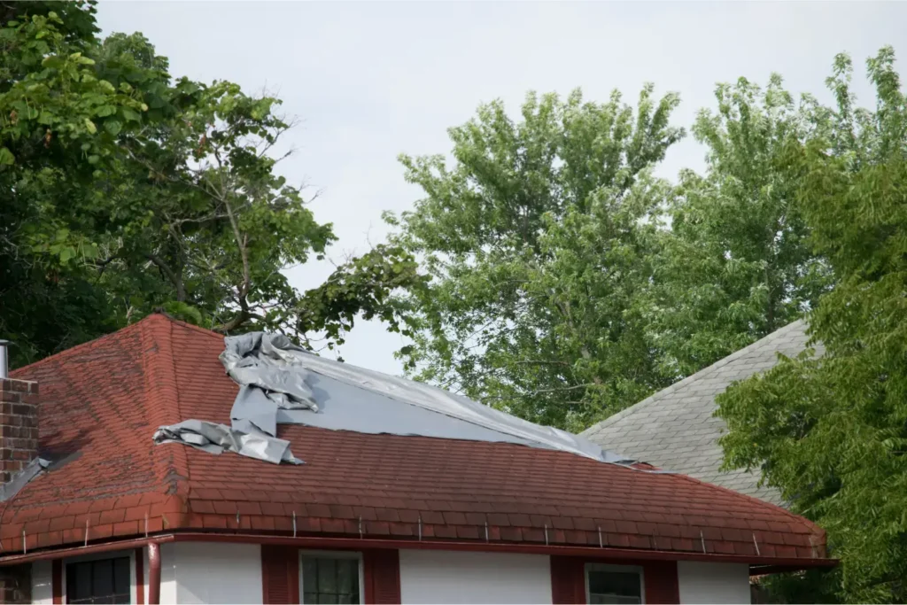 fire damage repair in san diego