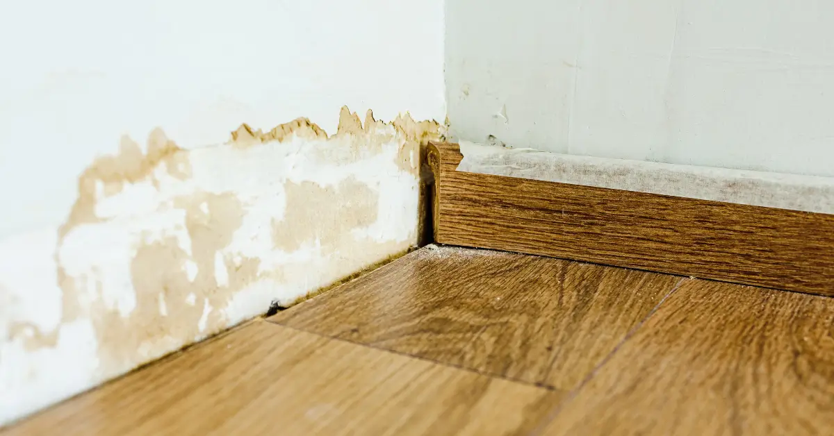 Hidden Water Damage Signs