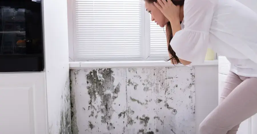 mold remediation in chula vista