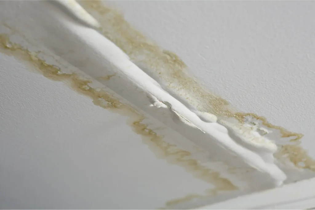 water leak detection Vista CA