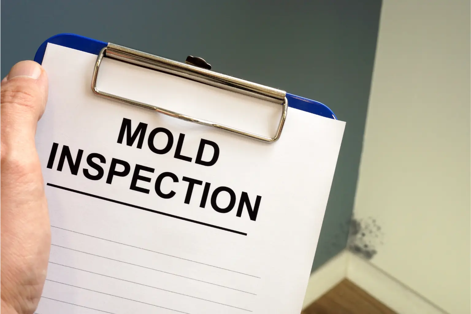 what happens if mold is left untreated